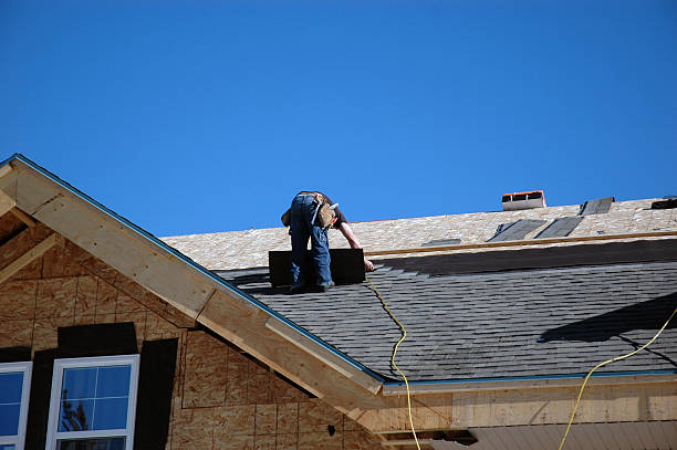 Best Roof Moss and Algae Removal  in Conrad, IA